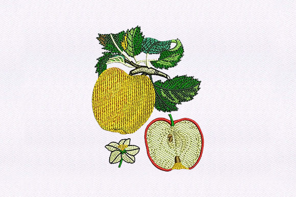 Apple and Half Apple: A Sweet Embroidery Design Review