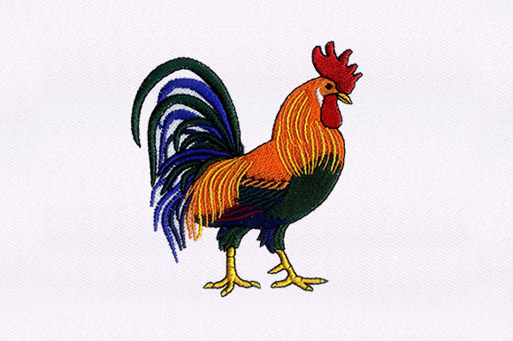 Brahma Chicken: A Festive Embroidery Design for Holiday Gifts