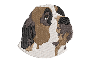 Realistic Saint Bernard: A Holiday Embroidery Review